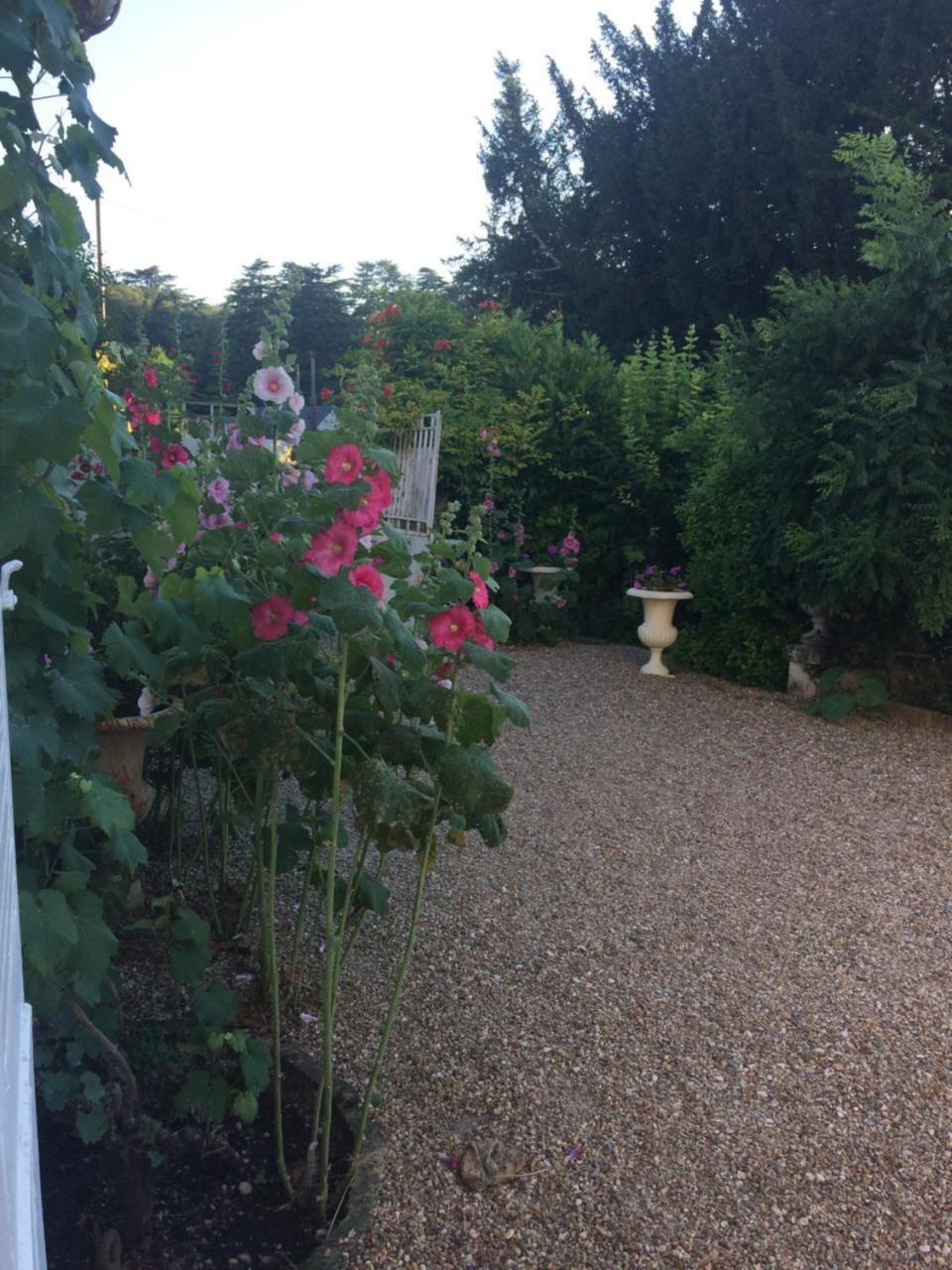 Le Clos Mademoiselle Loches Exterior foto
